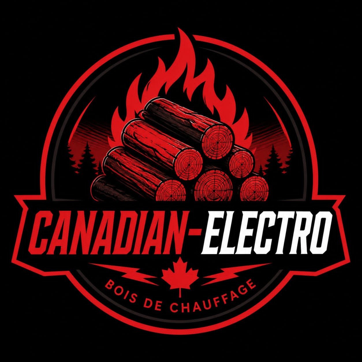 canadian-electro.com